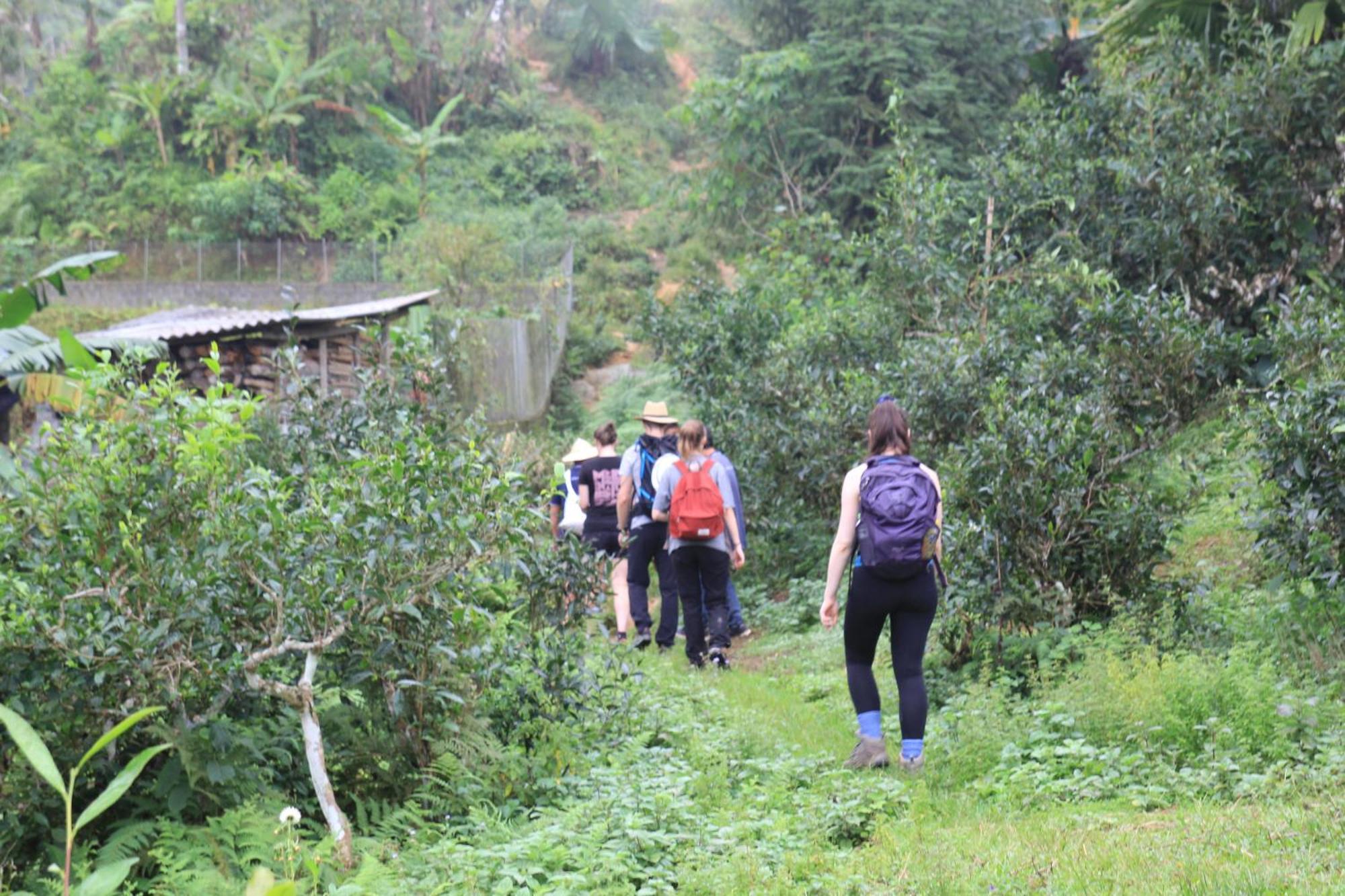 Thavill Retreat Hagiang Apartment Ha Giang Exterior foto