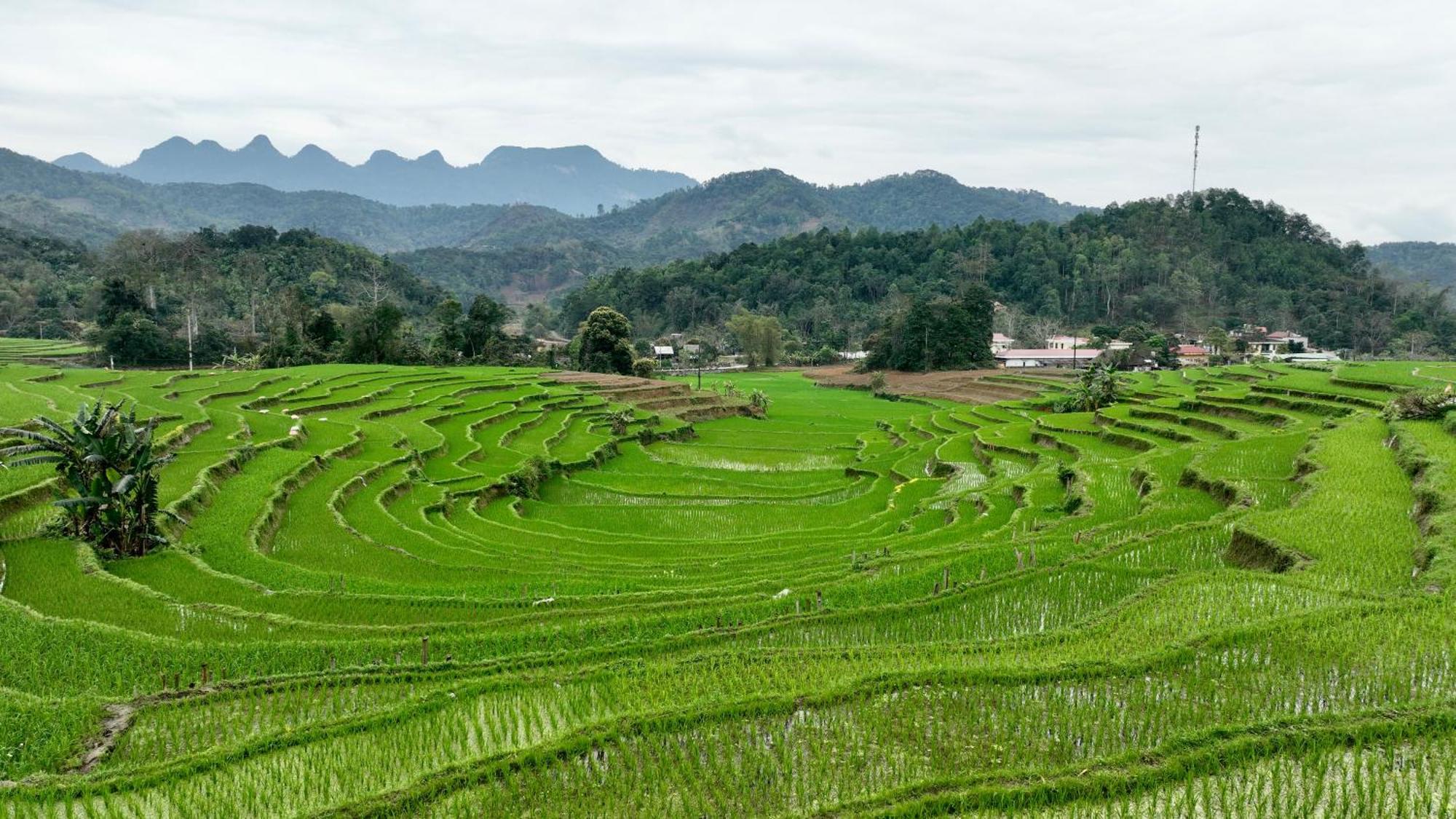 Thavill Retreat Hagiang Apartment Ha Giang Exterior foto